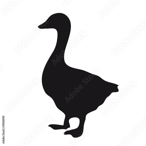 Silhouette goose