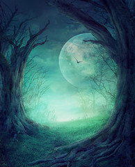 Halloween Spooky Forest