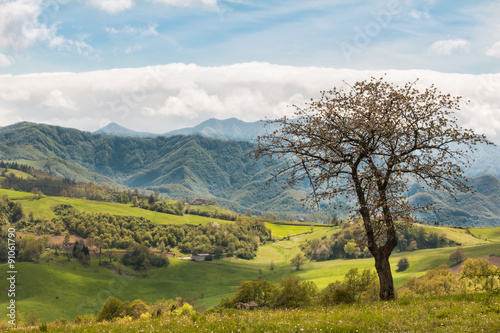 Beautiful Italian Countryside Landscape over Rolling Hills and B