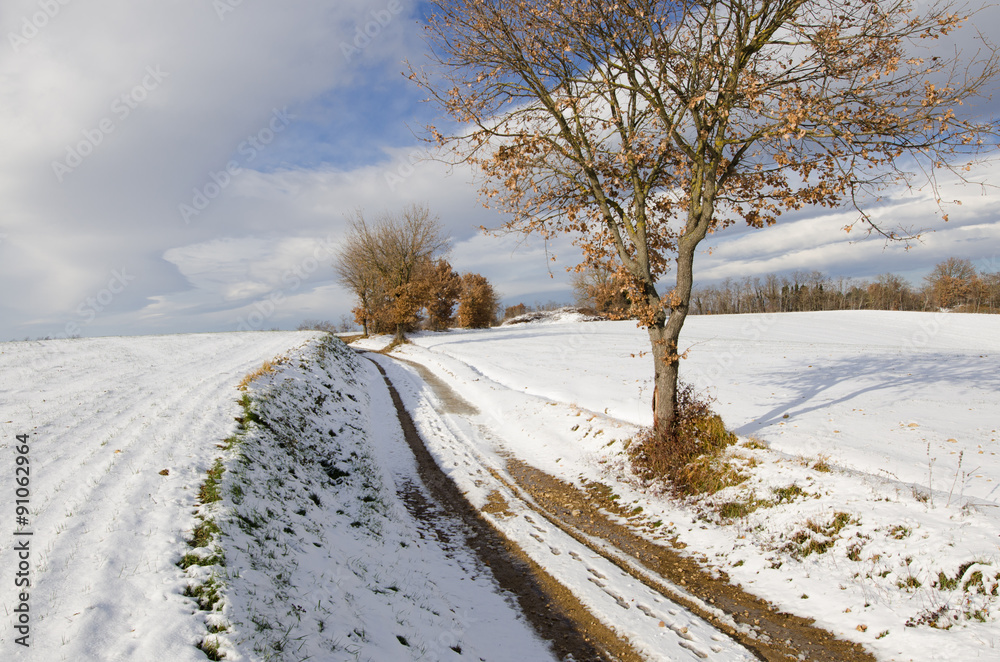 Obraz premium Winter Landscape