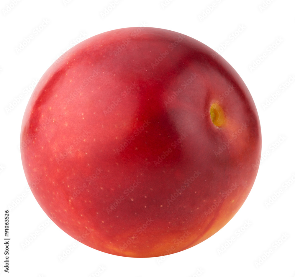 red cherry plum isolated on the white background