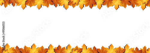 Horizontal  banner of autumn leaves