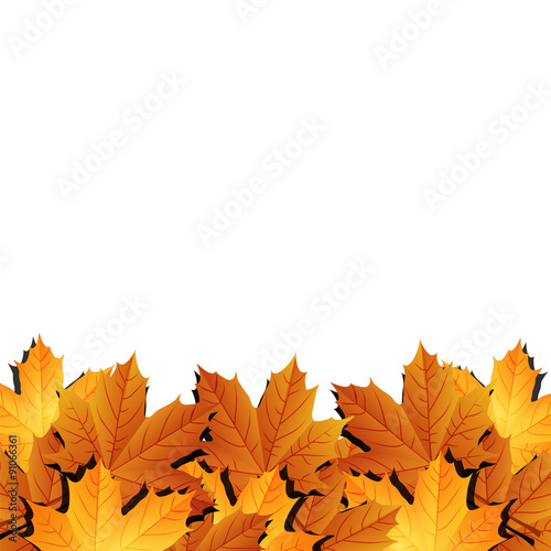 Border of autumn maples leaves.