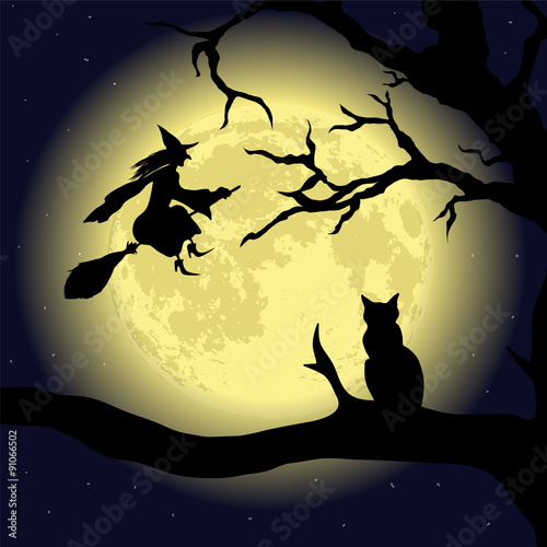 Black Cat on the Tree at full Moon
