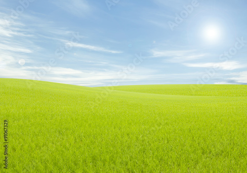 Rice field green grass blue sky cloud cloudy landscape backgroun © orijinal_x