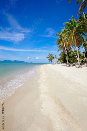 Beautiful tropical beach with palm trees