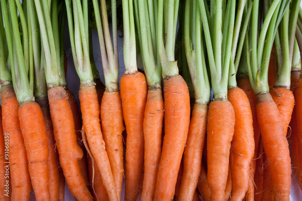 Fresh baby carrots Fresh baby carrots