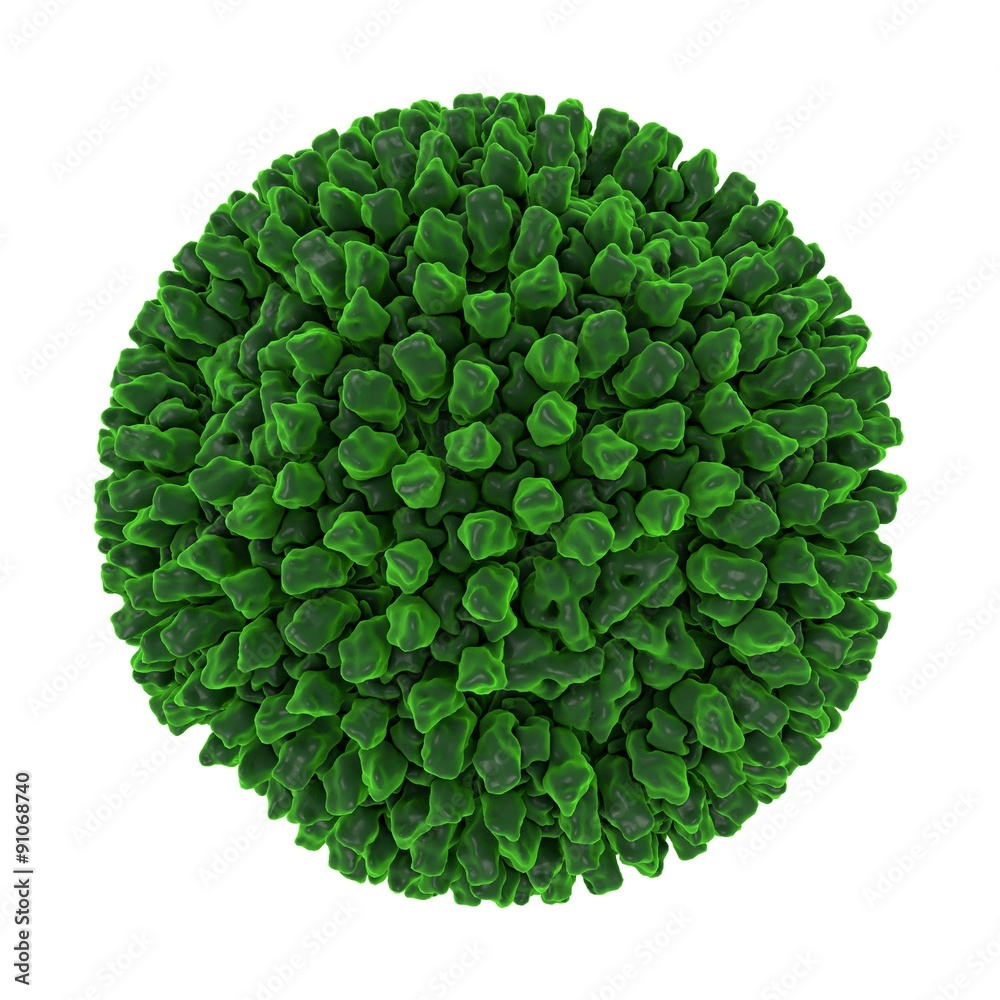 Reovirus isolated on white background. A virus causes infection of gastrointestinal and respiratory system. A model is built using data of viral molecular structure from Protein Data Bank (PDB 2CSE)