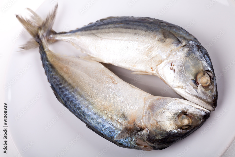 mackerel fish mackerel fish