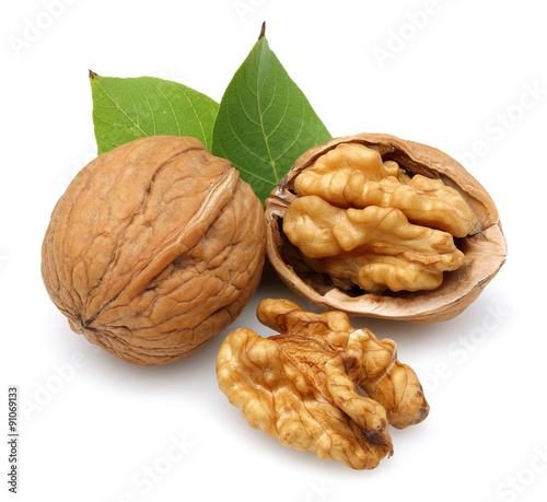 walnut group