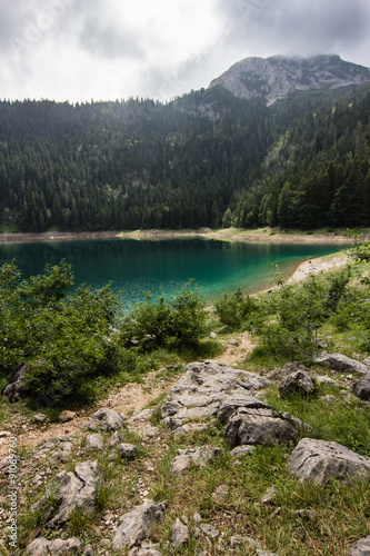 lake in green forest of pine trees in mountains