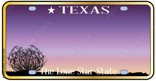 Texas License Plate