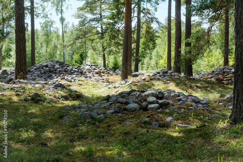 Cairns on the burial site of Trullhalsar, Gotland photo