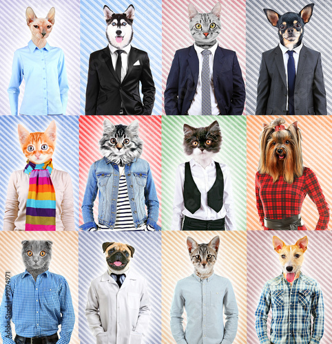 Series of people with anima...