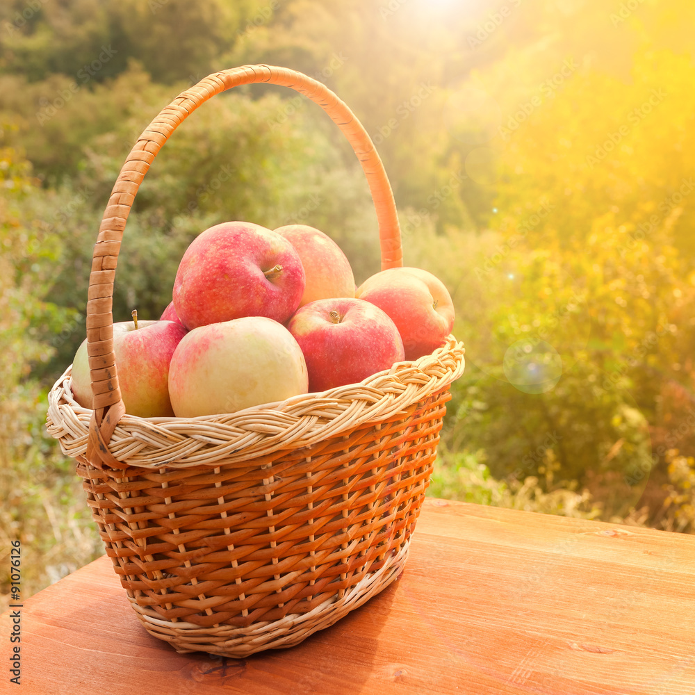 apples in a basket on wooden table against garden background at sunny day