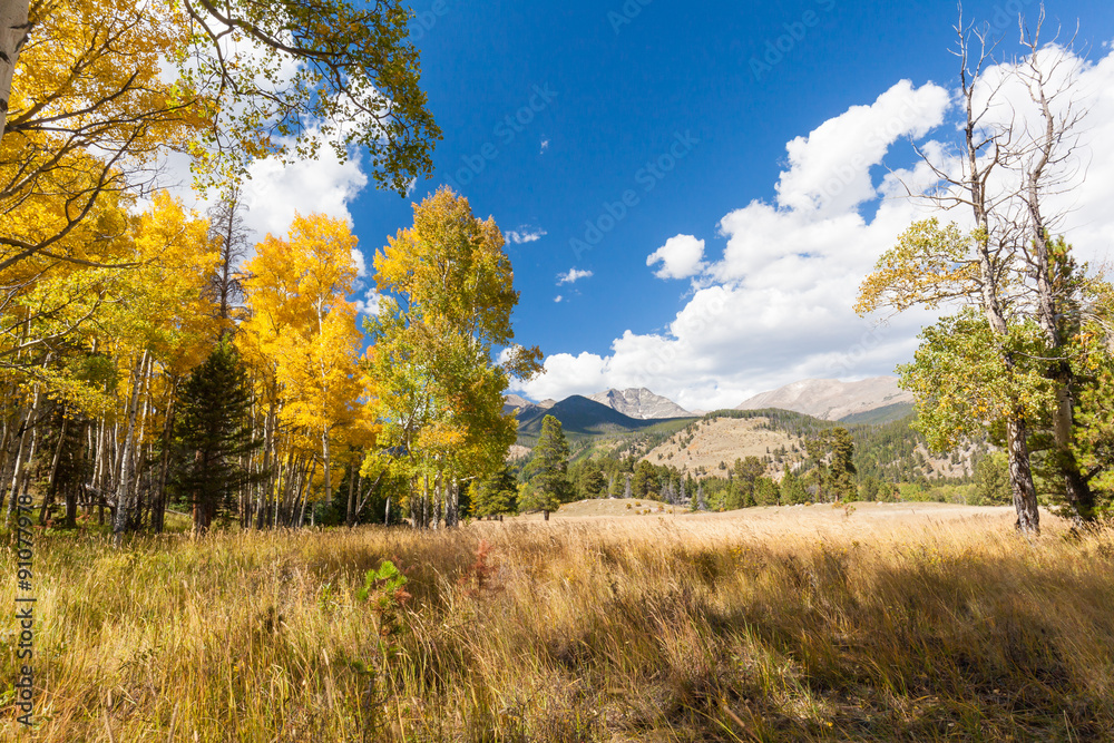 Fototapeta premium Colorado Mountain landscape in Fall