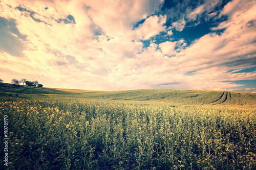 Retro style image of beautiful field and cloudy sky landscape