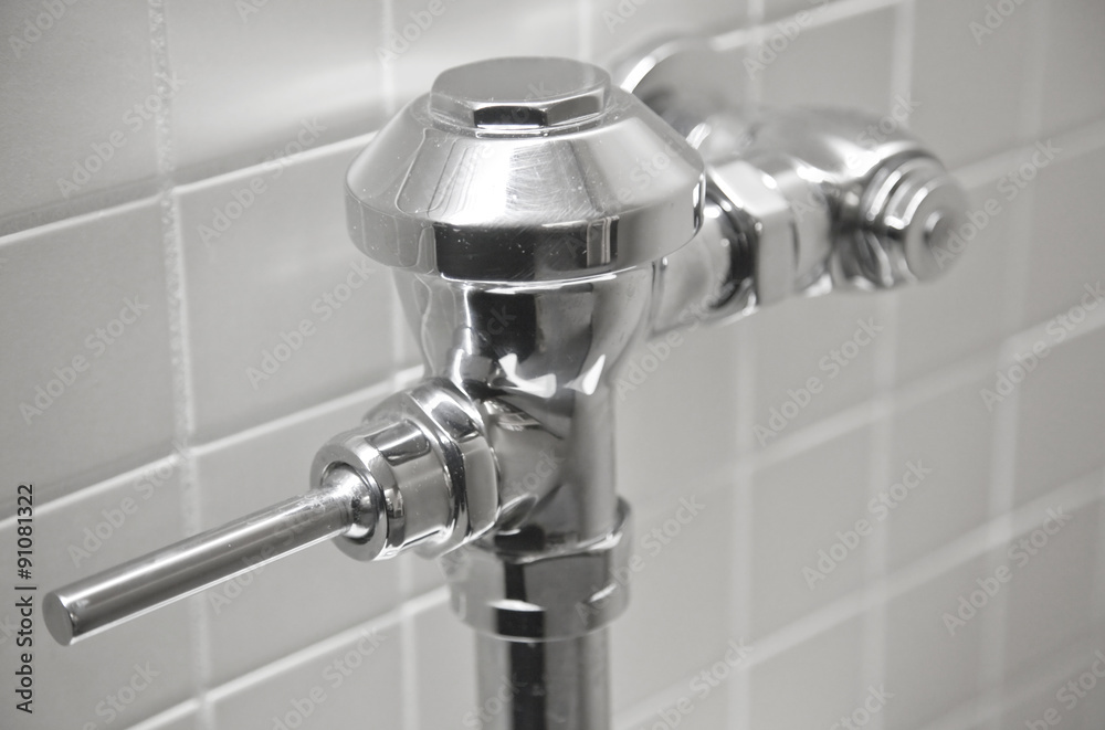 Toilet Flush Toilet Flush