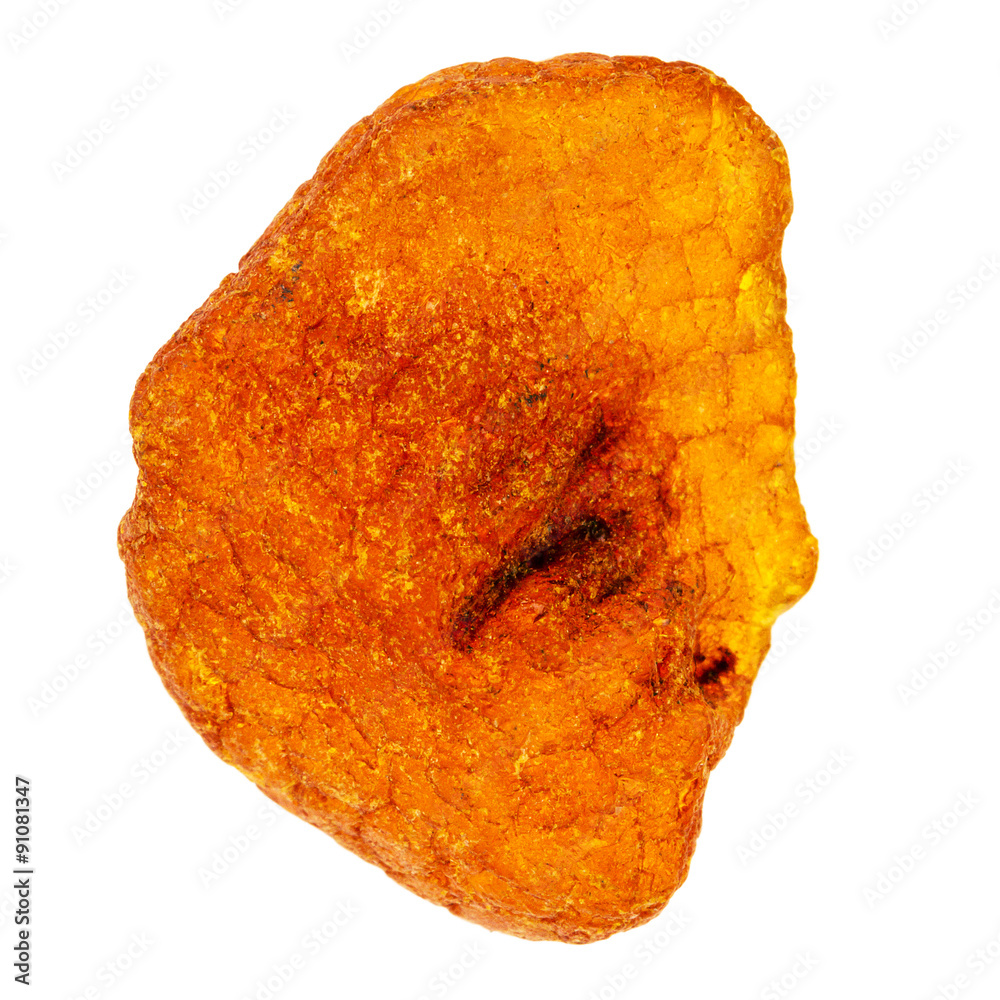 Piece of amber
