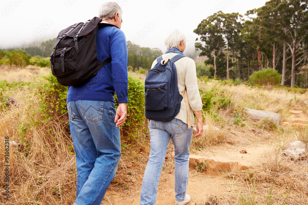 Senior couple walking together in a forest, close-up back view