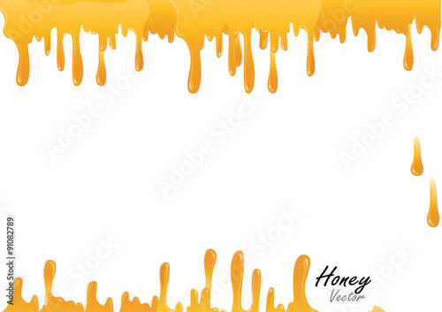 Honey drop frame vector illustration