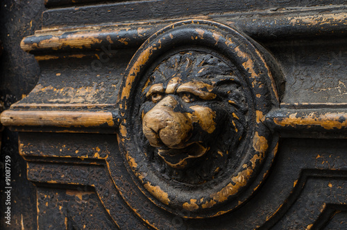 Detail of old wooden gate - lion head