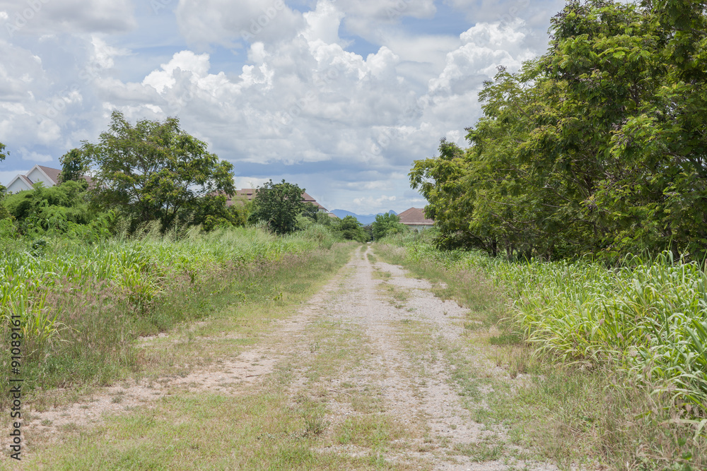 A road in countryside in sunny day