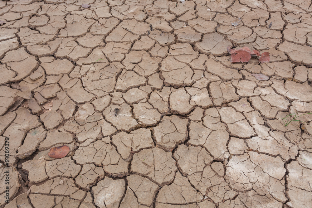 Close-up of dry soil cracked texture or background