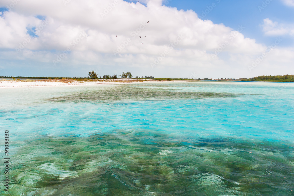 Fototapeta premium Soft wave of the sea on the sandy beach. Blue sky, white sand, Cuba.