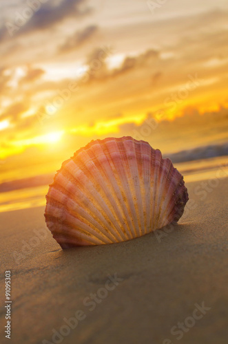 Beautiful beach with sunrise background. Focus on sea shell.