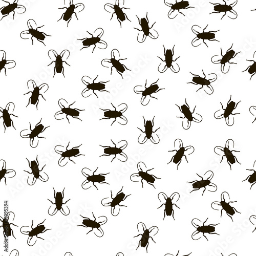 Cockroach on white background. Vector