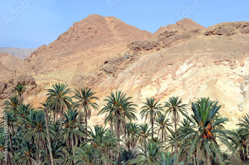 Atlas mountains  oasis