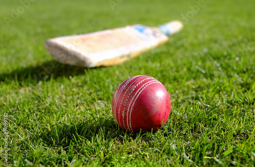 Cricket ball and bat on grass field