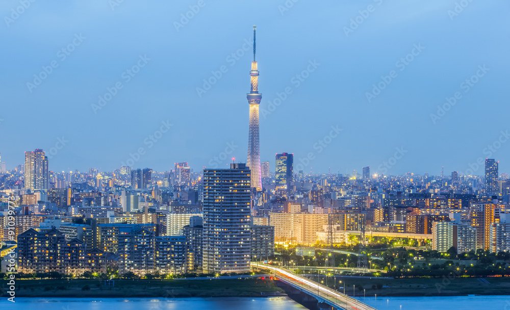 Naklejka premium Tokyo city view with Tokyo sky tree and river in evening