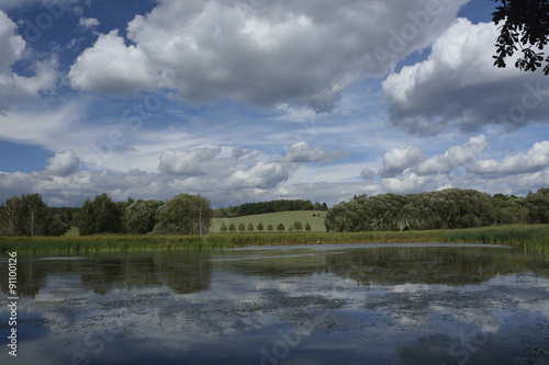 summer landscape