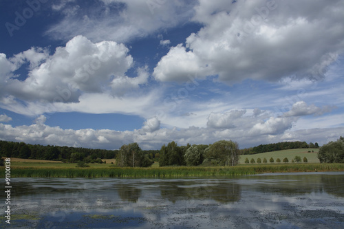 summer landscape