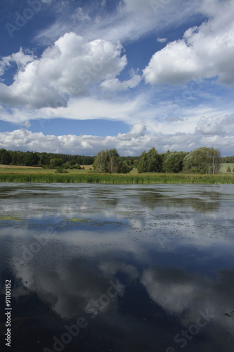 summer landscape