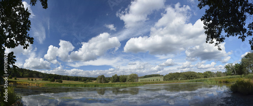 summer landscape