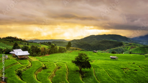 long exposure soft focus sunset over a rice terraces of Papongpi