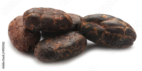 Theobroma cacao كاكاو Kakaovník شجرة pravý Kakaobaum Κακαόδεντρο Kaakaopuu עץ Kakaovac Kakaowiec właściwy Какао 可可樹 Cacau Kakao קקאו 