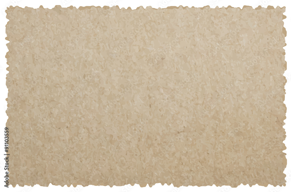 Fototapeta premium collection of white ripped pieces of news paper on on white back