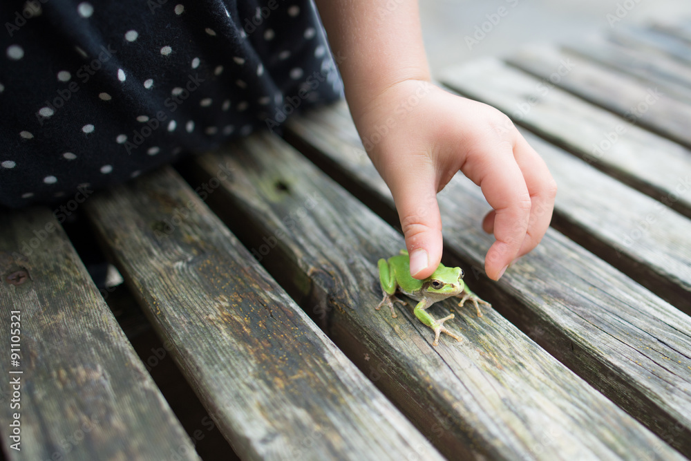 Obraz premium 蛙を捕まえようとしている子供