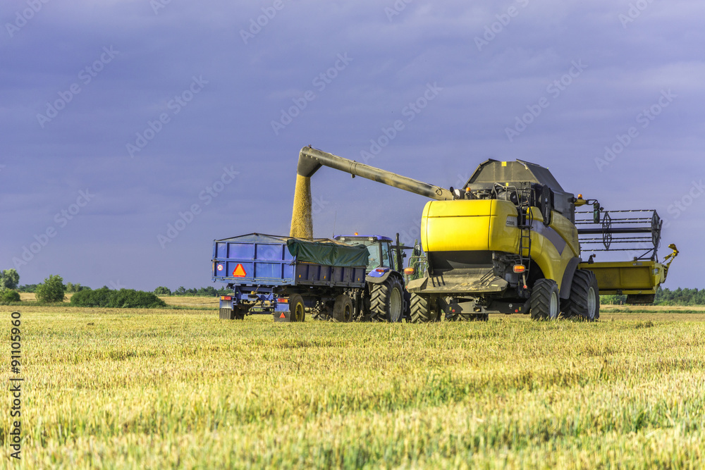 Harvest, fields and meadows during harvest Harvest, fields and meadows during harvest