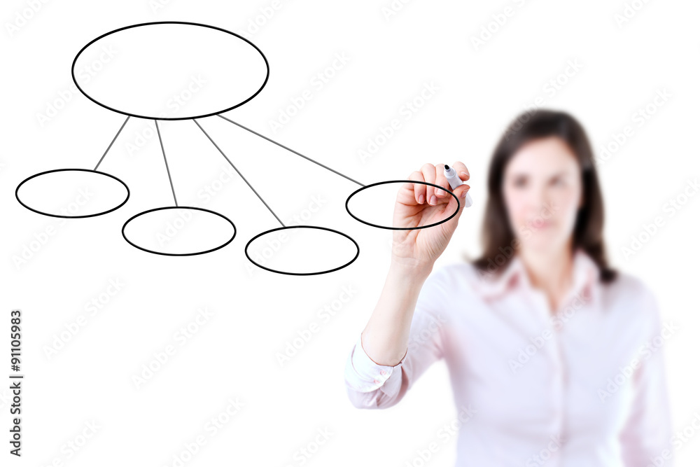 Young business woman drawing a flowchart 2, white background. Young business woman drawing a flowchart 2, white background.