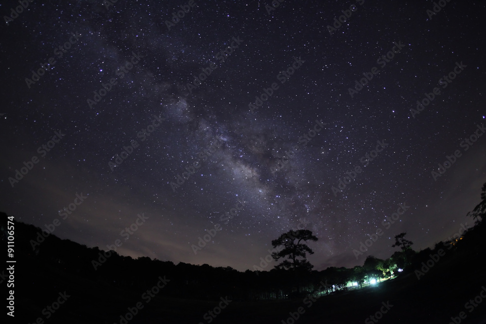 Silhouette of Tree and Milky Way Phu Hin Rong Kla National Park,
