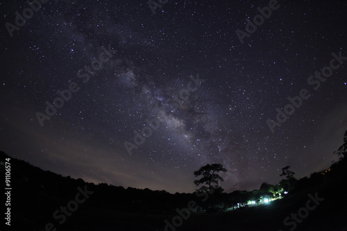 Silhouette of Tree and Milky Way Phu Hin Rong Kla National Park,