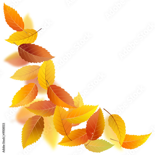 Falling autumn leaves isolated on white background