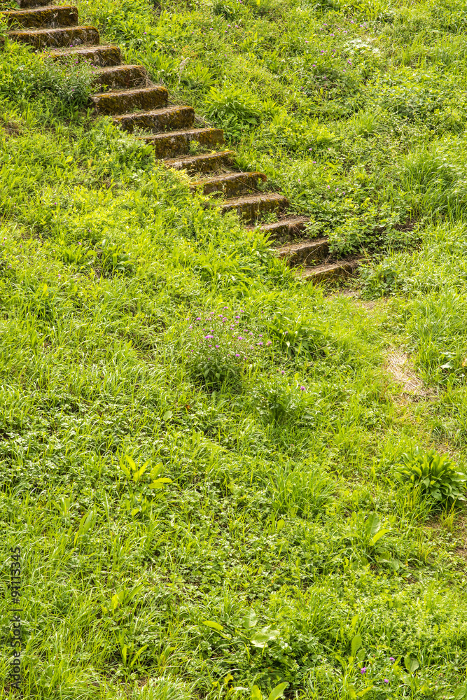 Steintreppe im Grünen Steintreppe im Grünen
