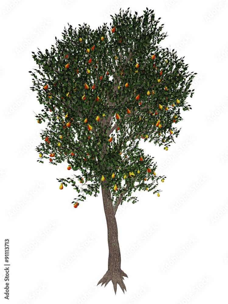 Fototapeta premium Pear tree - 3D render
