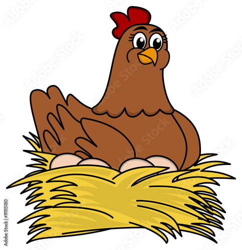 hen brooding eggs